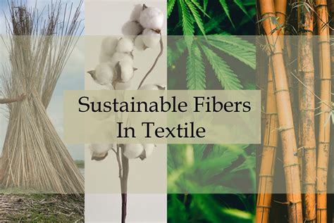  Hemp Fibers: Unleashing Nature's Sustainable Strength for Textile Innovations!