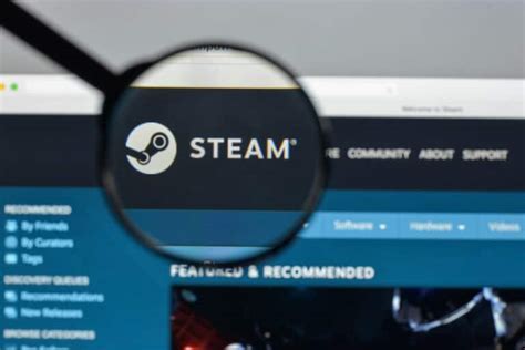 Can You Play Steam Games on a Mac? And Why Do Cats Love Watching You Play?