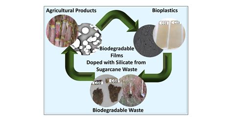 玉米澱粉的用途廣泛！探索生物基材料和食品添加劑的驚人潛力