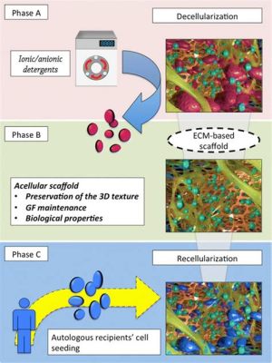  Elastin Mimics: Revolutionizing Regenerative Medicine and Tissue Engineering Applications?