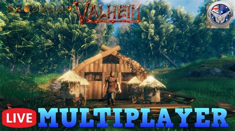 is valheim multiplayer a gateway to virtual camaraderie?