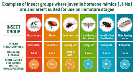  Juvenile Hormone Mimics，高效生物防治的奇蹟？